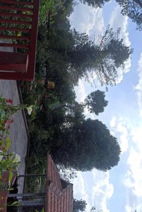 Bakka house of joy