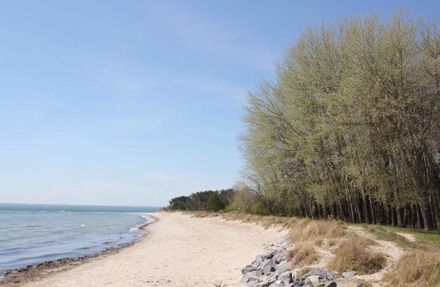 Balcony with sea view, free swimming pool and sauna - Haus De niege Wech FeWo 03 -