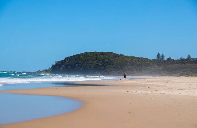 Ballina Beachside Dog Friendly Apartment & Beachnn