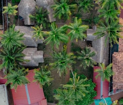 Bamboo Village