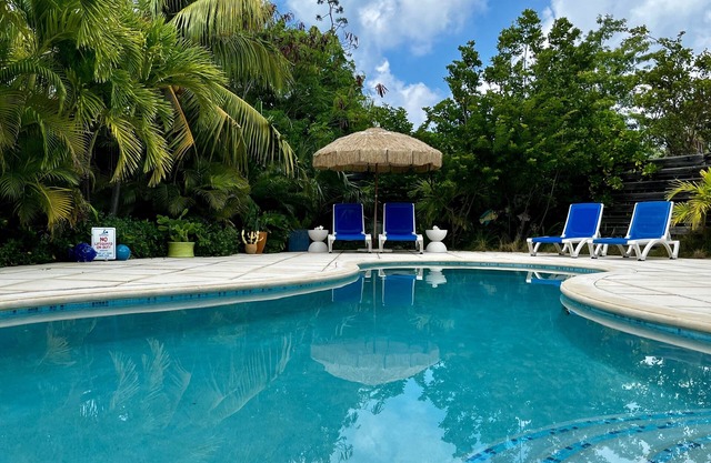 Barefoot Bliss - Leeward villa with private pool & short walk to the beach