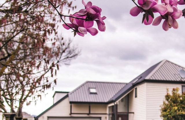 Bartlett By The Park - Location and Comfort Last minute specials