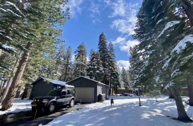 Base Camp Kiowa: cozy, dog-friendly, modern mountain cabin