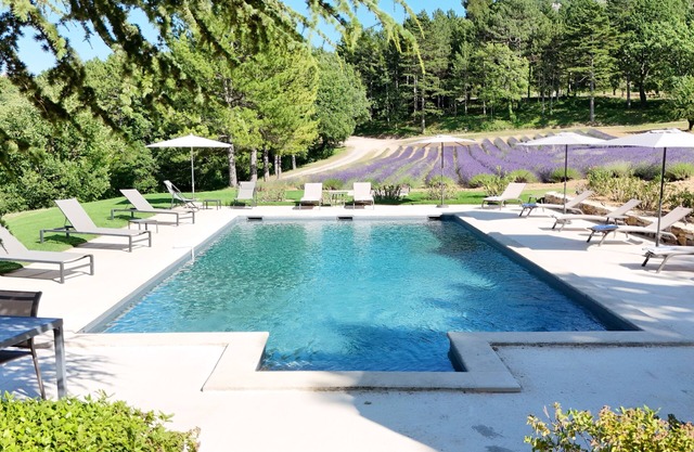 Bastide de l'Esclat - Pool - lavender fields