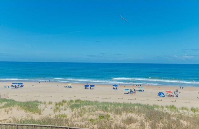Beach Front Cozy Condo