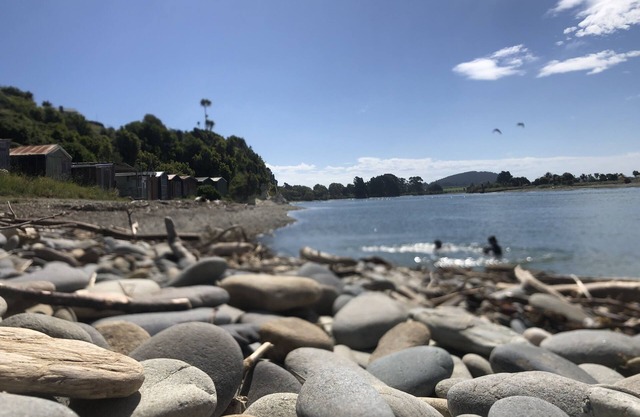 Beachbach16 - Kakanui