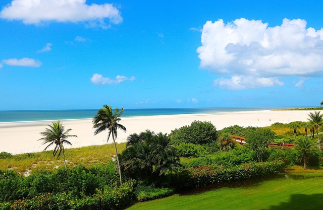 Beachfront Luxury – Marco Island Paradise. Christmas week for free!