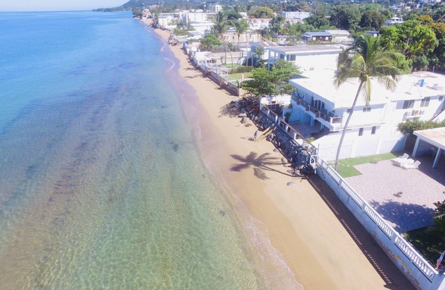 ★Beachfront★ Walk to Beach Bars & Food, Snorkel Backyard, Free Laundry, Bdrm AC.