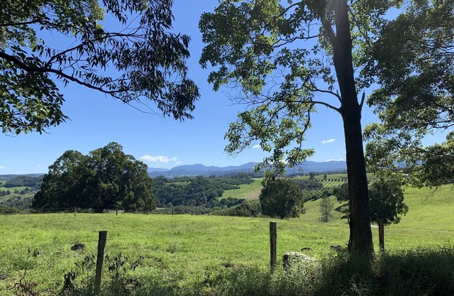Beautiful Byron Hinterland.1 bedroom open plan cabin sleeps 4.