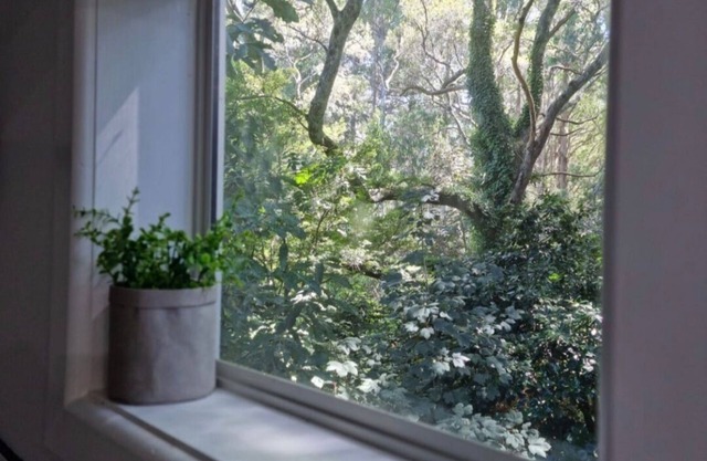 Beautiful Cottage nestled in the majestic Dandenong Ranges.
