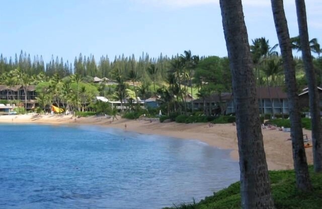 Beautiful Napili Shores Condo!