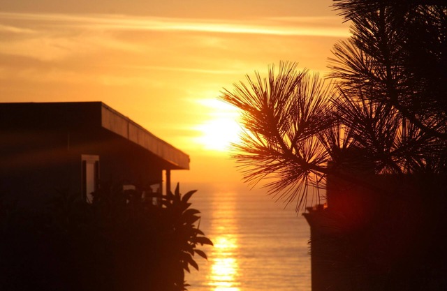 Beautiful Ocean View Home on Neptune: Elegance at the Beach