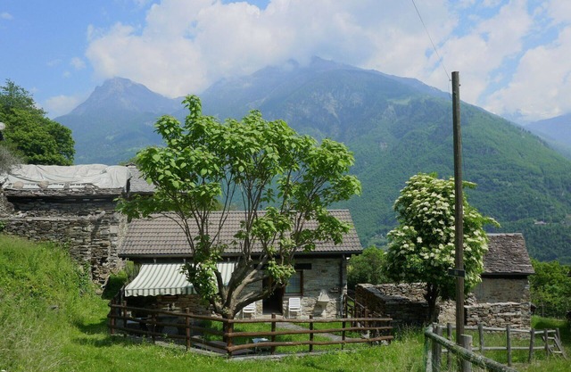Beautiful private villa for 4 guests with TV, patio, pets allowed and panoramic view
