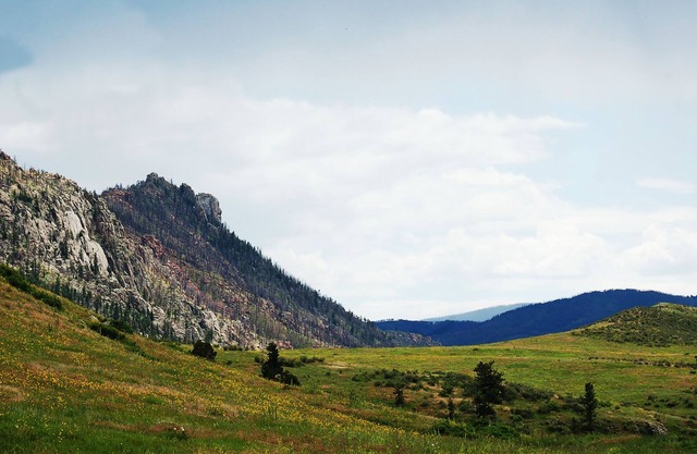 Beautiful Suite in the Colorado Mountains w/Gourmet Breakfast
