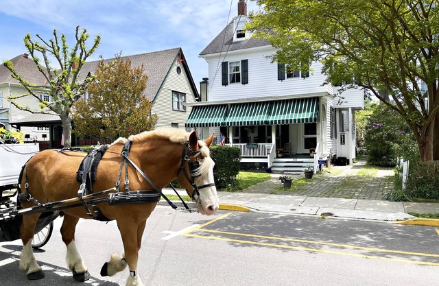 Beautiful Vacation Home, WALK to everything, pet friendly, historic district