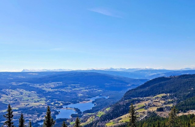 Beautiful Valdres - Fireplace, stunning views and nature