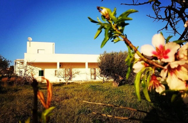 Beautiful Villa in Sicily facing the sea of Cava d'Aliga