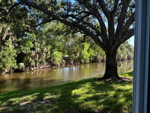 Bed and Breakfast in North Naples