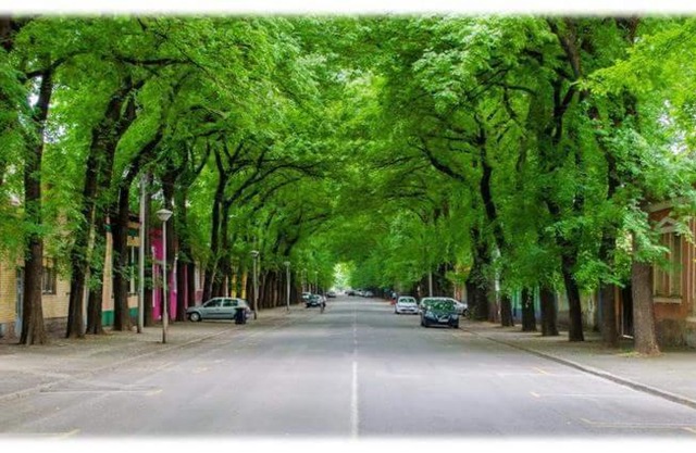 Bed&Breakfast INTERMEZZO CAFFE