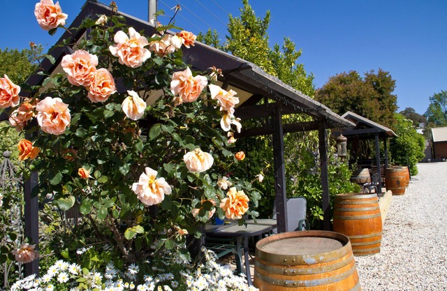 Beechworth on Bridge