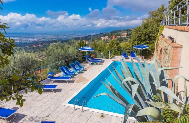 Begonia by Interhome