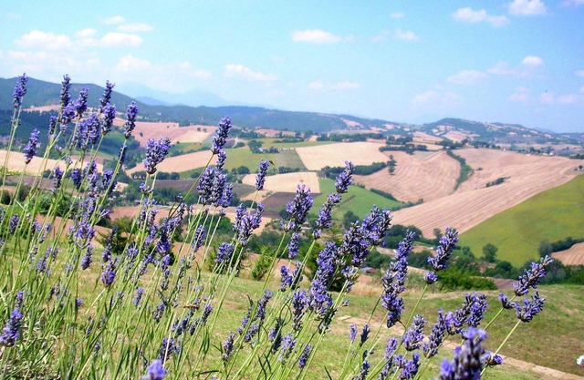 Belvilla by OYO Colle