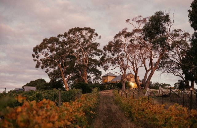 Big Vine House on Zig Zag Winery
