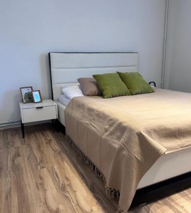 Black and Ginger Residence