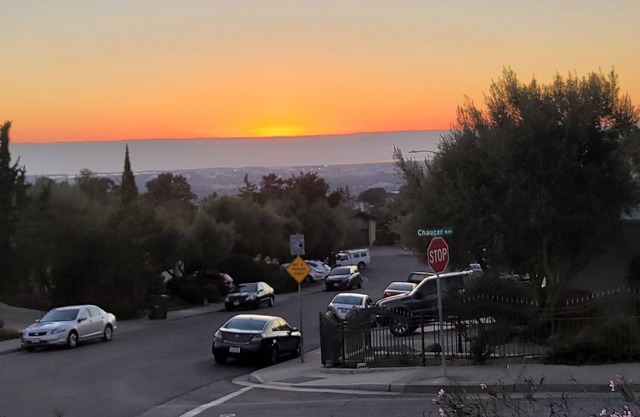 Blossom's Bay Area Resorts