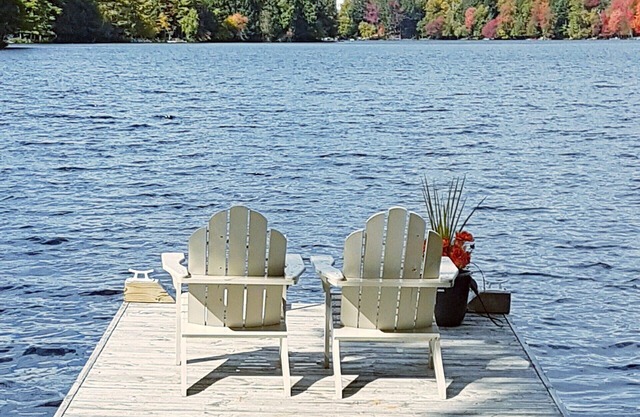 Blue Heron c/w Algonquin & Arrowhead Pass - Bring your pet free!