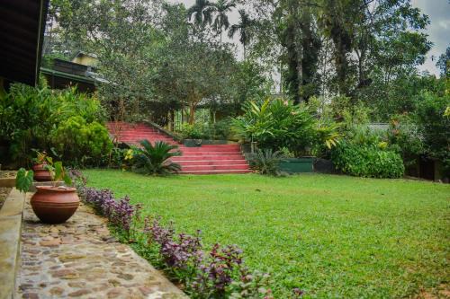 Blue Magpie Lodge Sinharaja