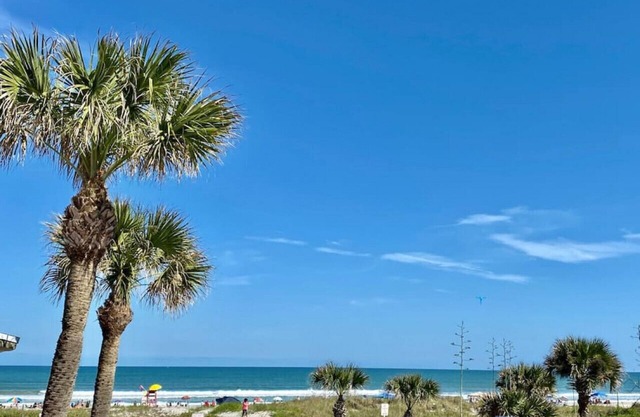 Blue Marlin - Ocean Front Condo