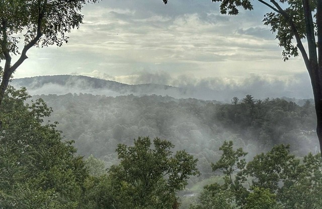 Blue Ridge Views - 2 King Beds - Near the Ecusta Trail - No Stairs - Private