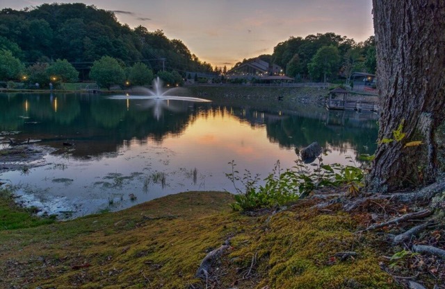 Blue Ridge Village (Banner Elk) - 1 Bedroom Villa