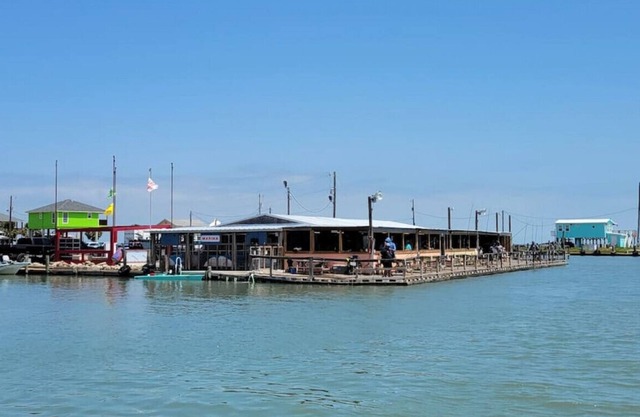 Blue Shark · IFM's Blue Shark Cottage