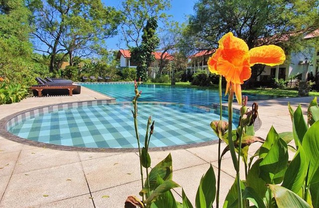 Blue Turtle Hotel