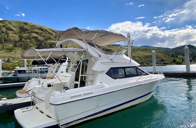 Boat Stay on Lake Chelan: Clubhouse, Small Dog, Propane Grill
