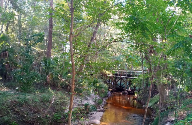 Bobby Cat's condo, shared with owner, in forest setting w/creek, 1.5 mi. to UF!