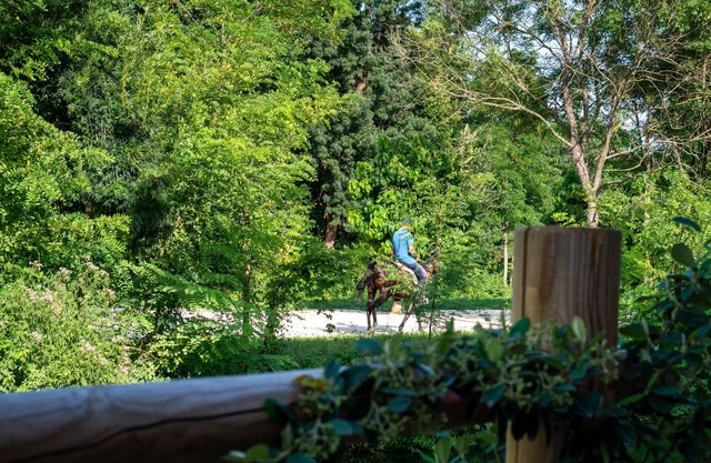 Borgo Stalis Resort by Interhome