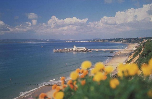 BOURNECOAST: MODERN APARTMENT NEAR TO TOWN CENTRE AND SANDY BEACHES - FM6141