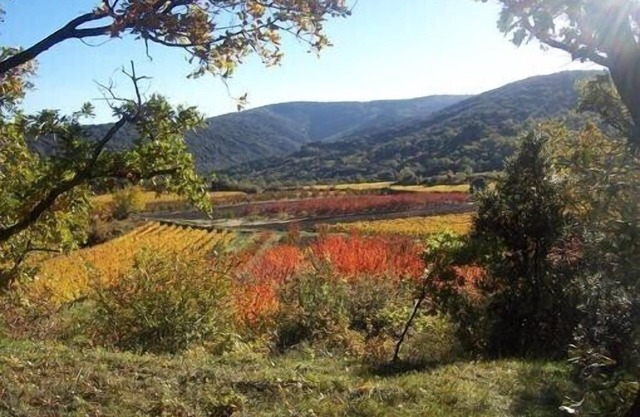 Brand new gite in an authentic Provencal Mas, in south Ventoux