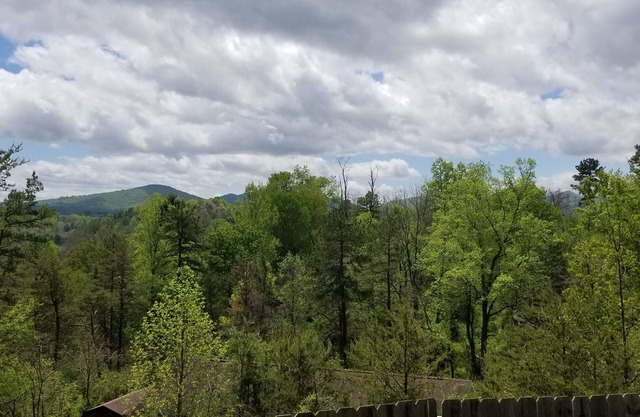 Brand new refresh! Comfy & fabulous views! Near Asheville and Weaverville.