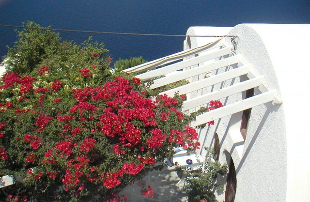 Breathtaking view, luxury, privacy, style and much more !