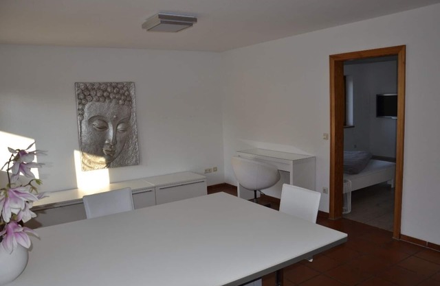Bright 1-room apartment with garden access