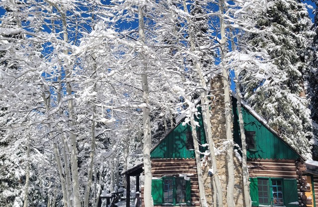 Brighton Log Cabin. Close to lifts! Free parking.n