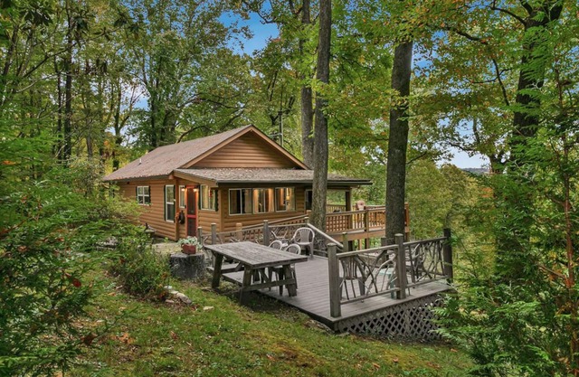 Buck's Cabin near Brevard, NC Dog Friendly Wood stove, mtn views in forest.