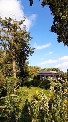 Bungalow Idylle Am See