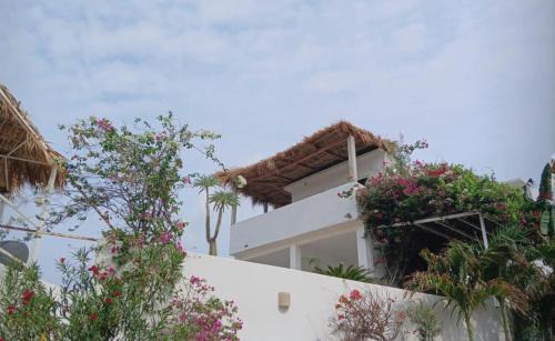 Bungalows Punta conejo