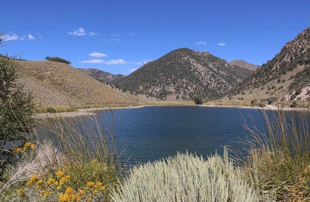 Bunker Hill Hideaway full RV site 1 nestled in Kingston Nevada