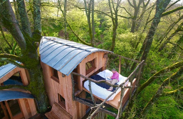 Cabane perchée Les Cabanes de Fallot - sauna bain-froid piscine naturelle